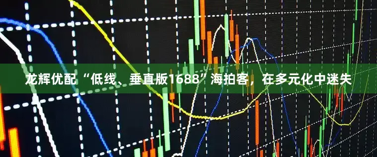 龙辉优配 “低线、垂直版1688”海拍客，在多元化中迷失