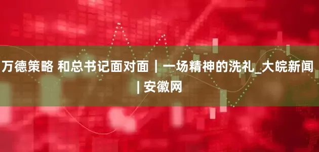 万德策略 和总书记面对面｜一场精神的洗礼_大皖新闻 | 安徽网