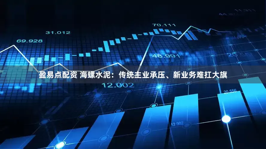 盈易点配资 海螺水泥：传统主业承压、新业务难扛大旗