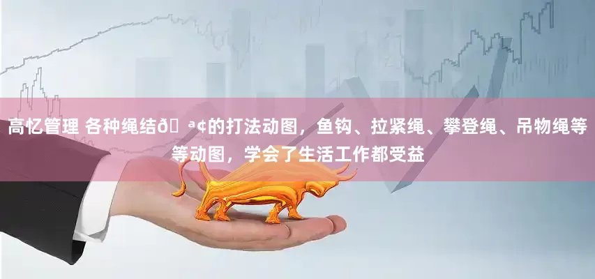高忆管理 各种绳结🪢的打法动图，鱼钩、拉紧绳、攀登绳、吊物绳等等动图，学会了生活工作都受益