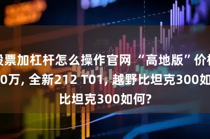股票加杠杆怎么操作官网 “高地版”价格超20万, 全新212 T01, 越野比坦克300如何?